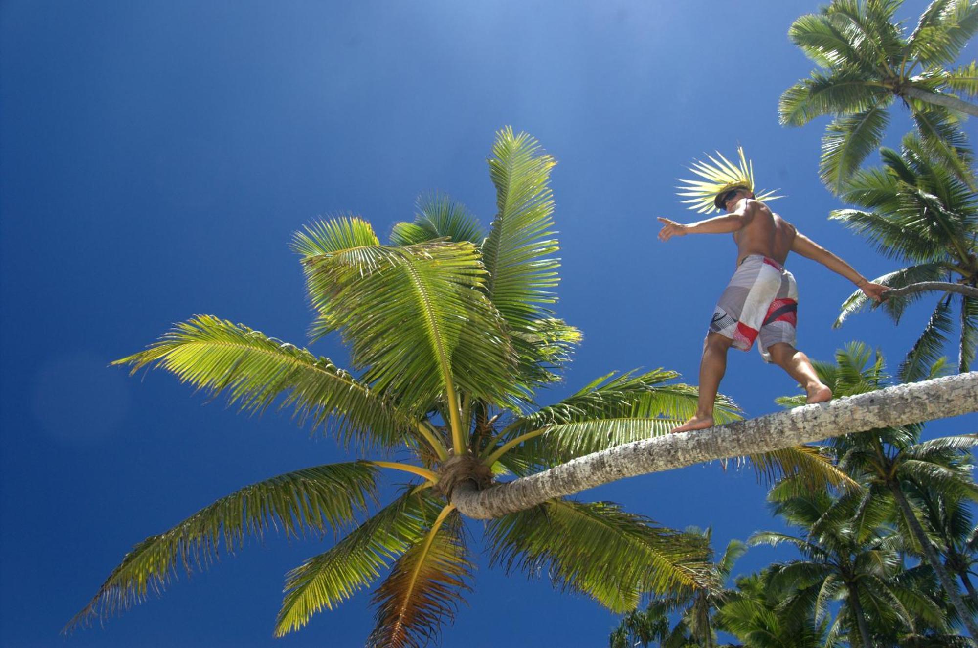 Maravu Taveuni Lodge มาเตย์ ภายนอก รูปภาพ