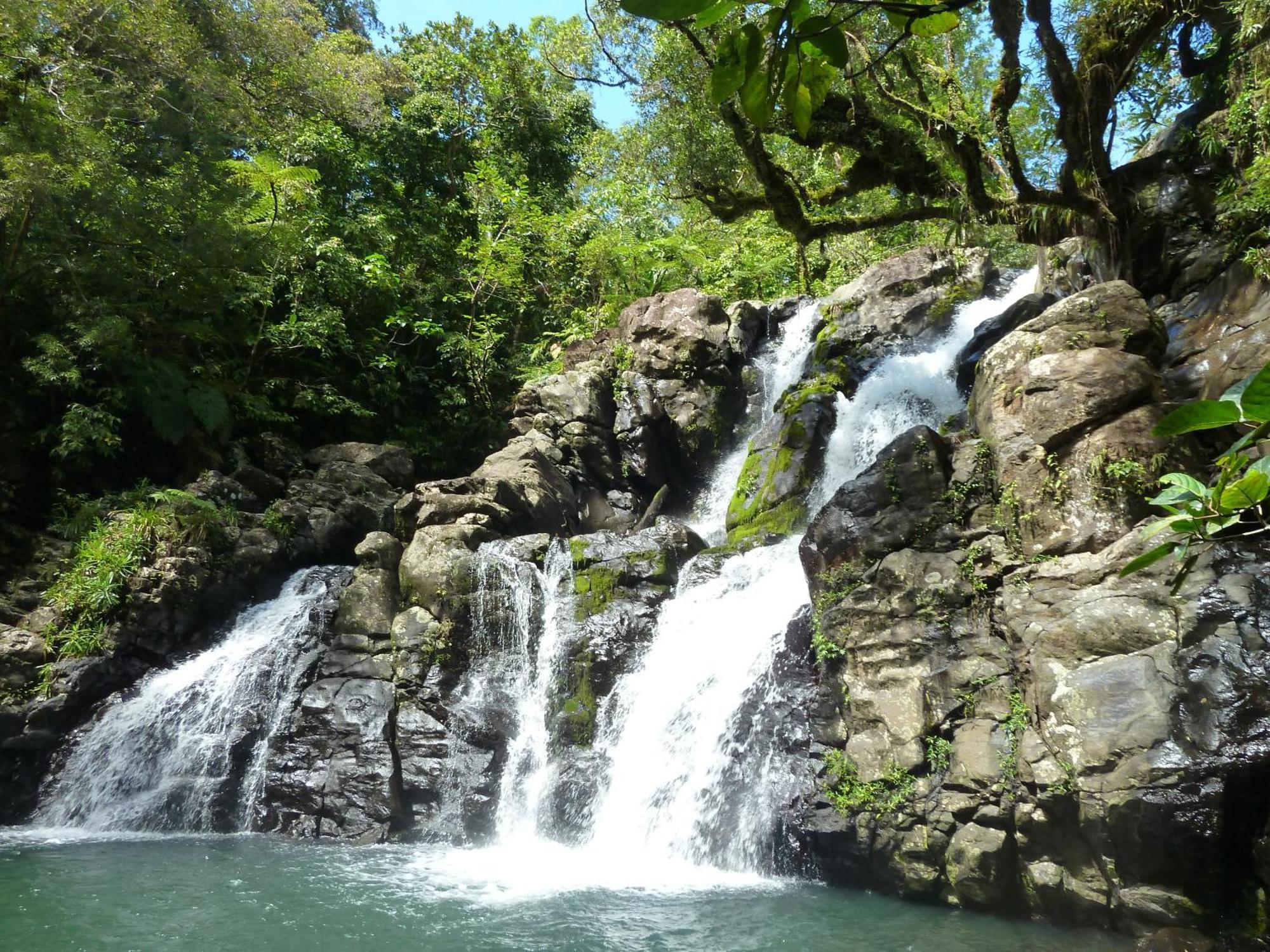 Maravu Taveuni Lodge มาเตย์ ภายนอก รูปภาพ